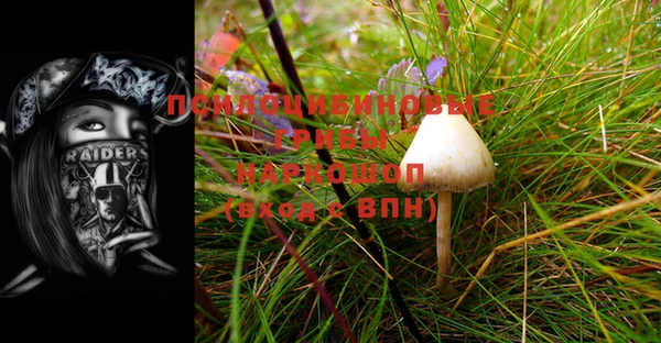 спайс Алексеевка