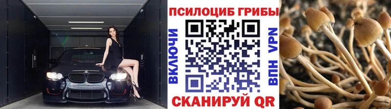 blacksprut зеркало  Краснозаводск  Псилоцибиновые грибы ЛСД  где можно купить  